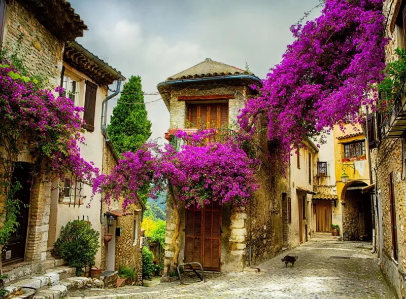 Provence, Frankreich