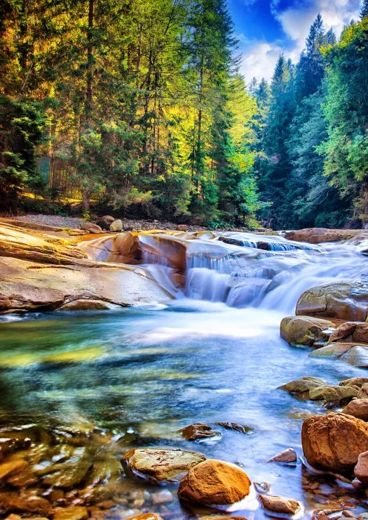Schöner Wasserfall im Wald