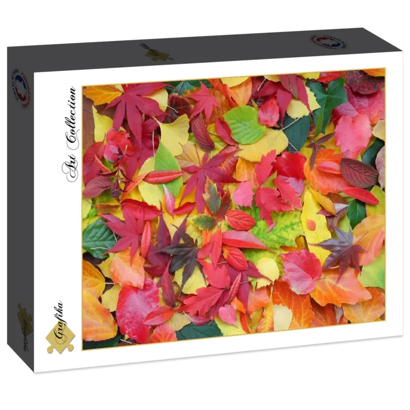 Herbst-Impressionen