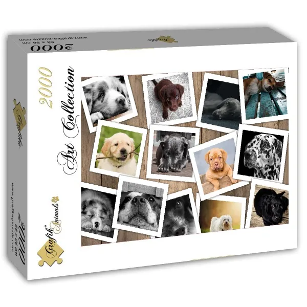 Hunde