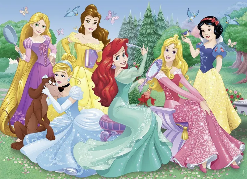 Disney Princess