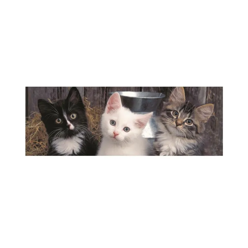 XXL Teile - Panorama-Puzzle - Three Kittens