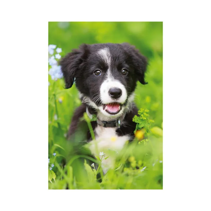 Mini-puzzle Hund