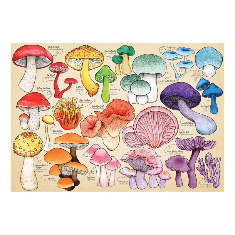 Pilz-Manie