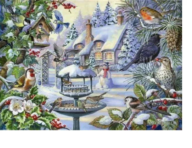 XXL Teile - Winter Birds