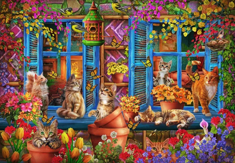 Katzen auf der Fensterbank