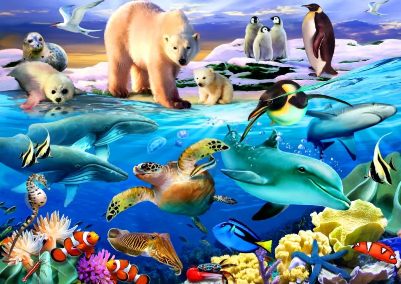 Oceans of Life