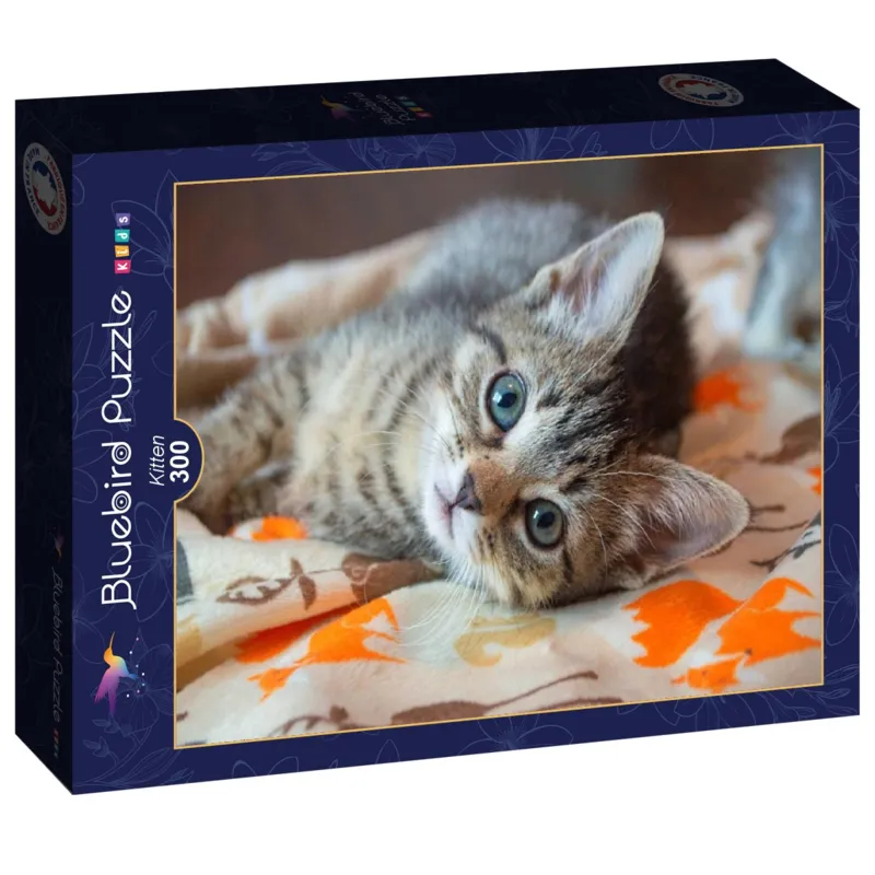 Kitten