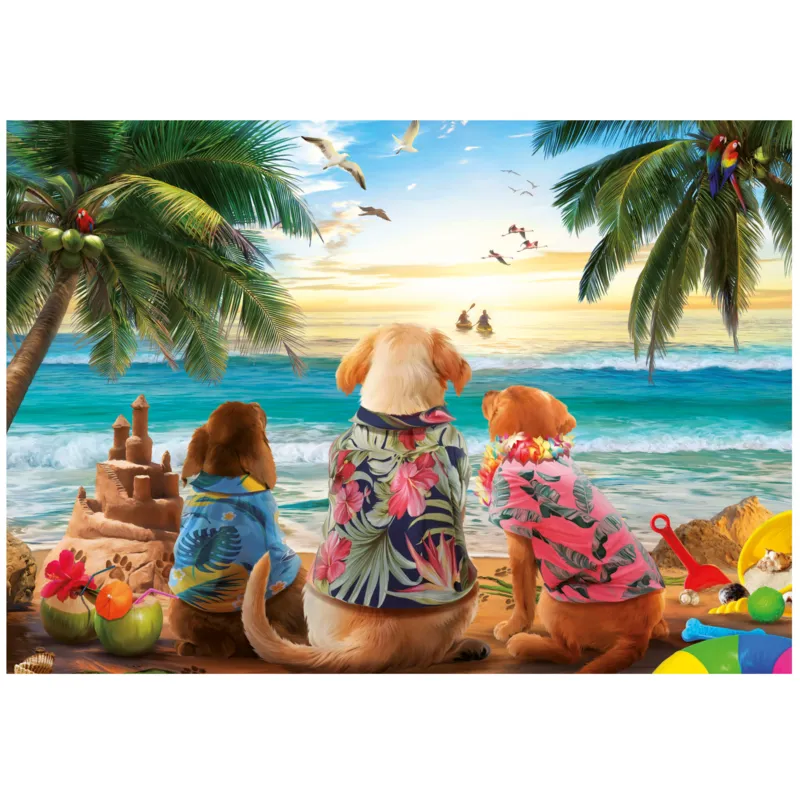 Dogs on the beach