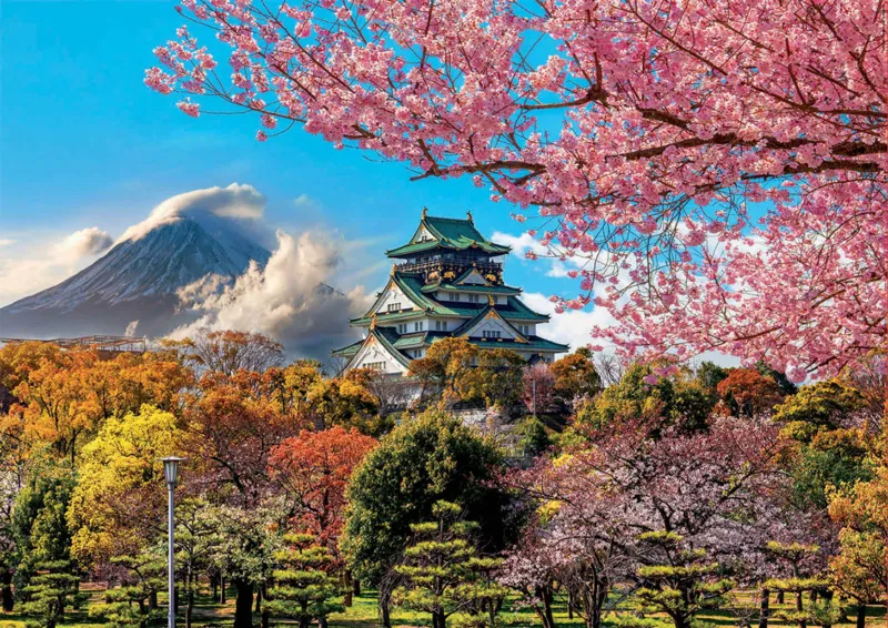 Osaka Castle. Japan