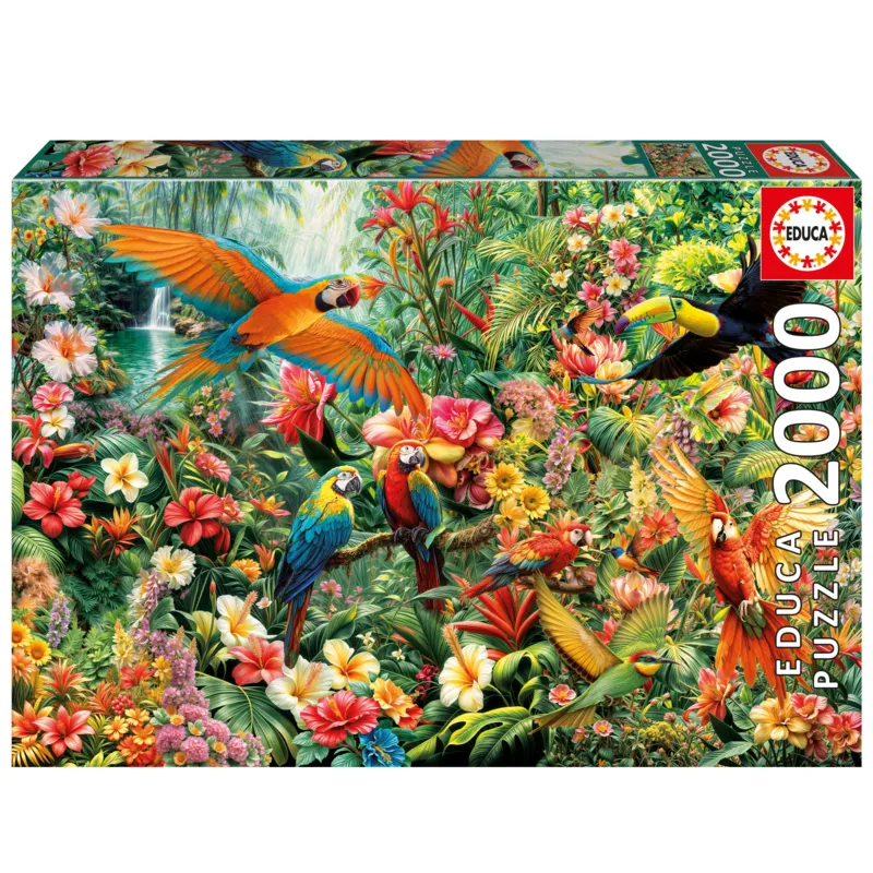 Amazon Birds