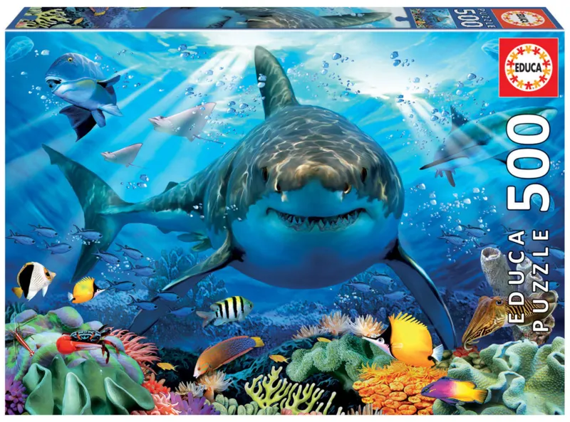Great White Shark