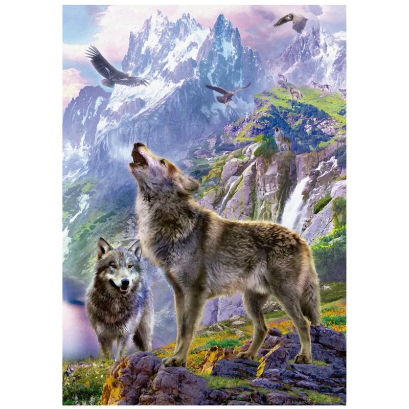 Wolves In The Rocks