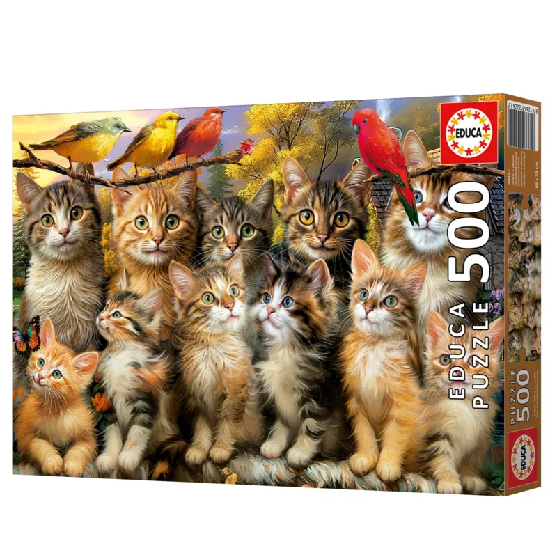 Kittens and Birds