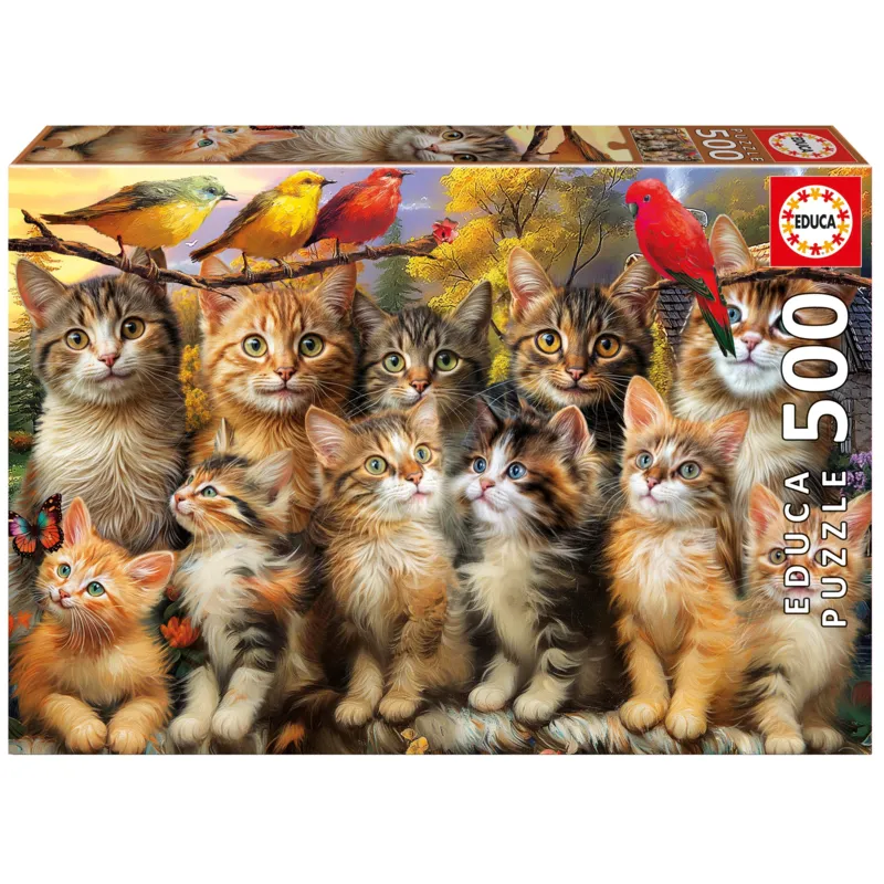 Kittens and Birds