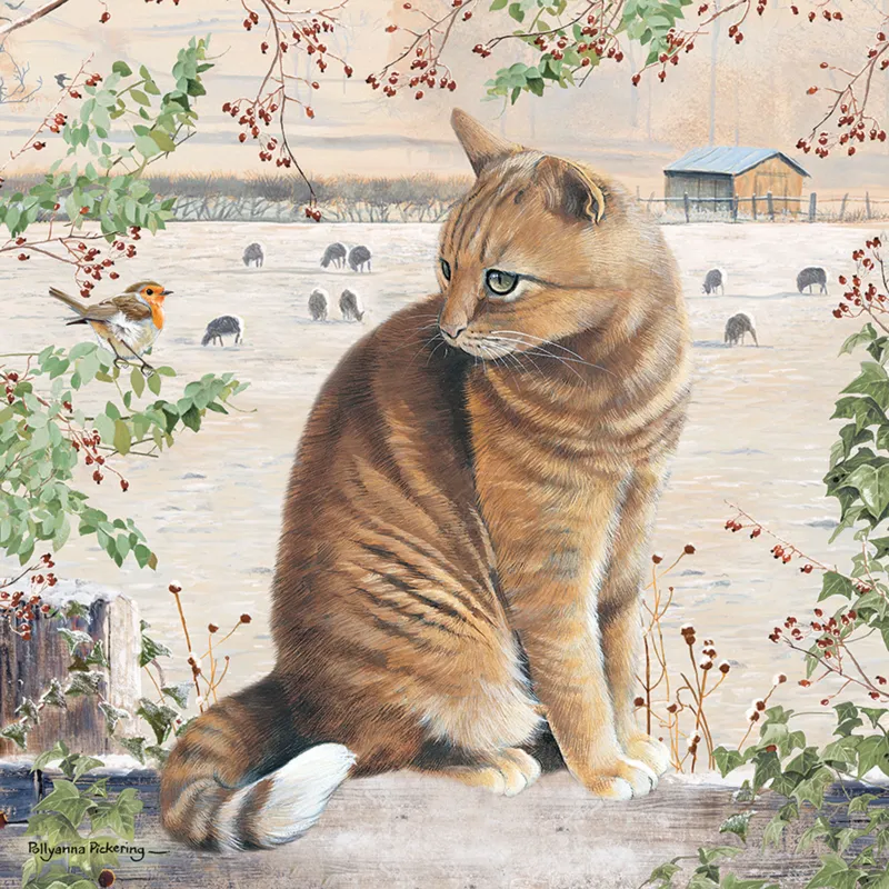 Christmas Cat