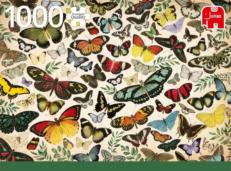 Butterfly Poster