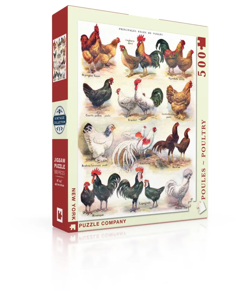 XXL Teile - Poules - Poultry