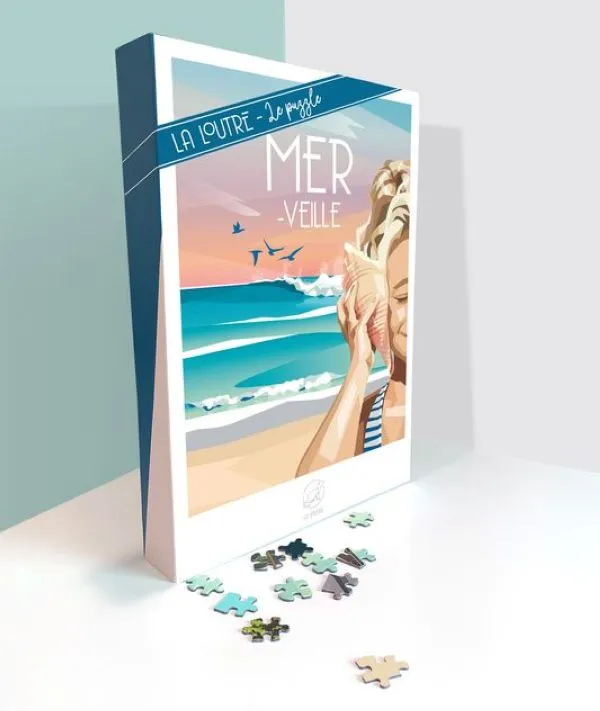 MER-Veille