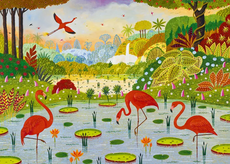 Karibische Flamingos