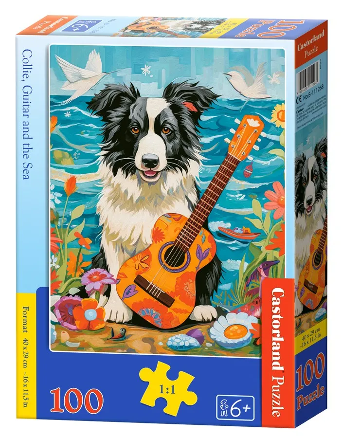 Collie, Gitarre und Meer