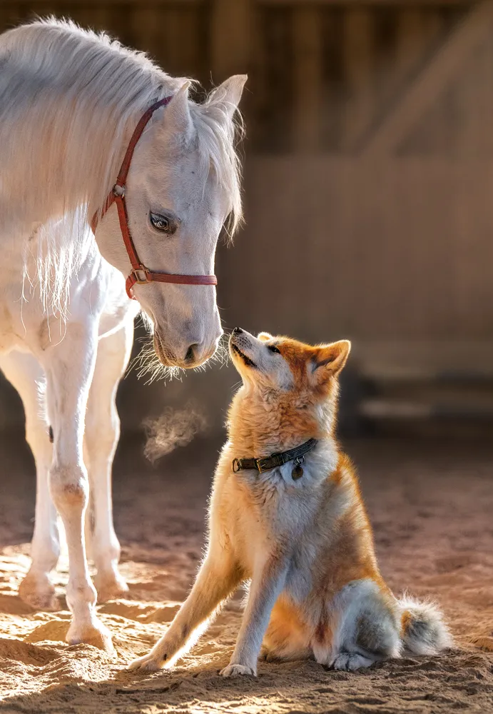 Unique Friendship