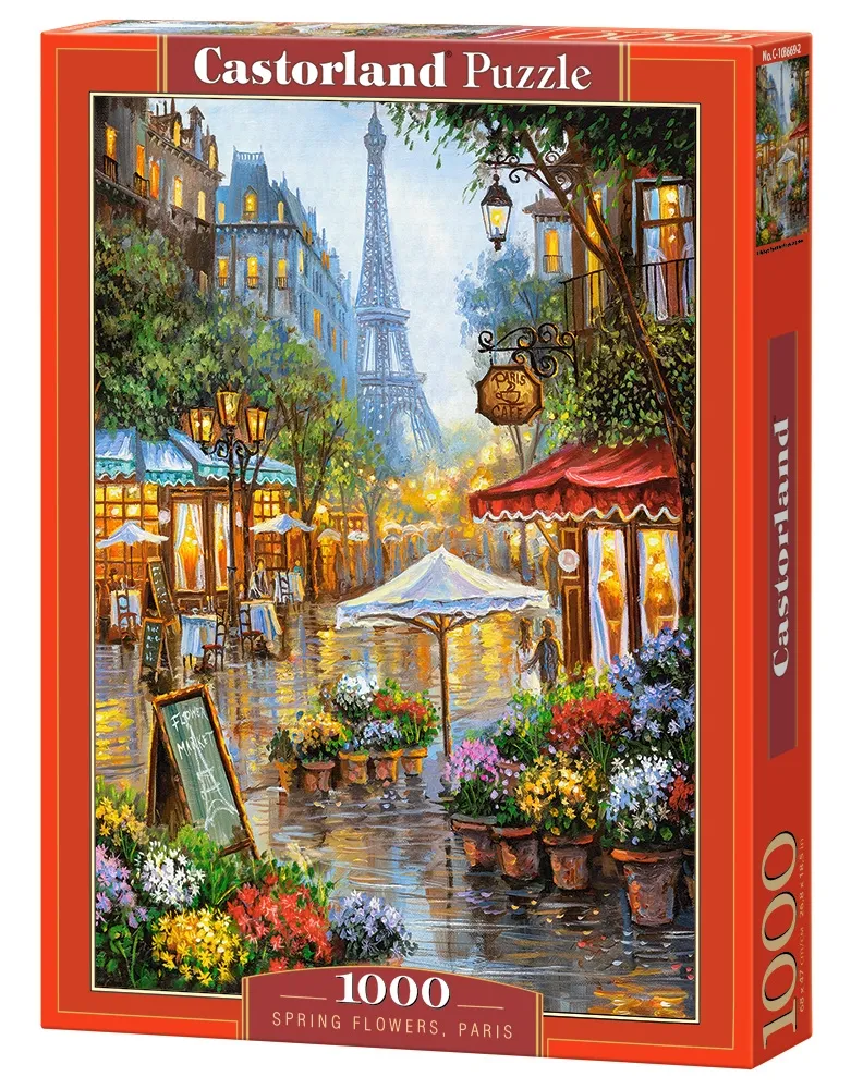 Frühlingsblumen in Paris