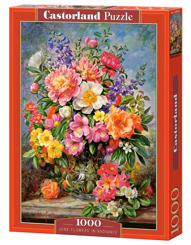 Juni Blumen im Glanz
