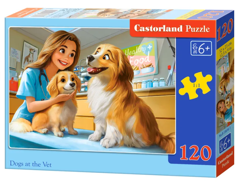 Dogs at the Vet