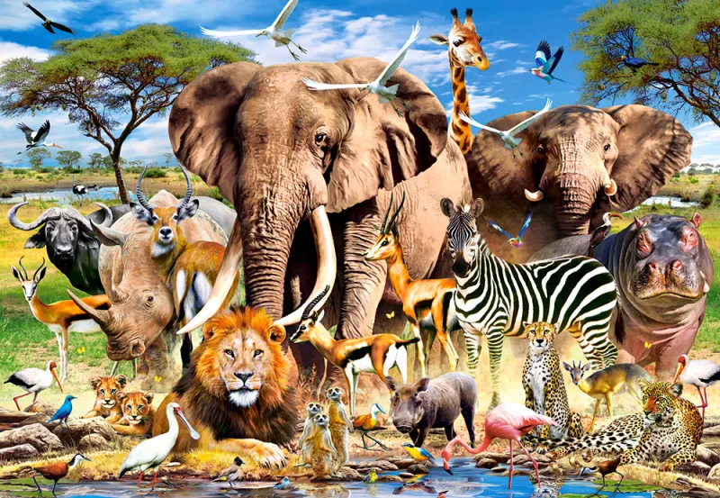 Savannen-Tiere