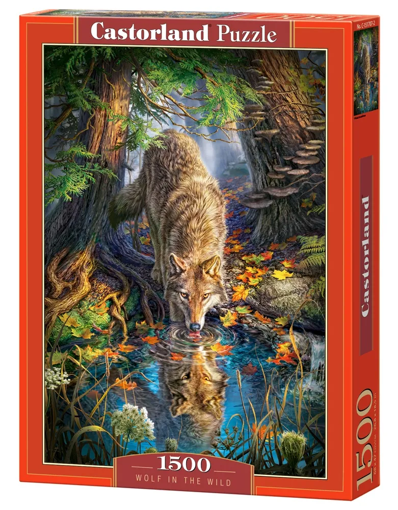 Wolf in the Wild