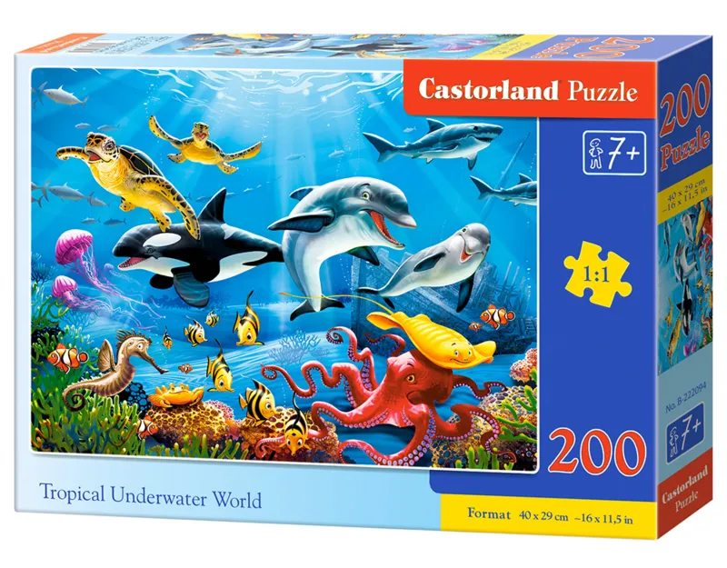 Tropical Underwater World