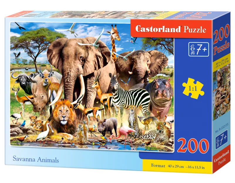 Savanna Animals
