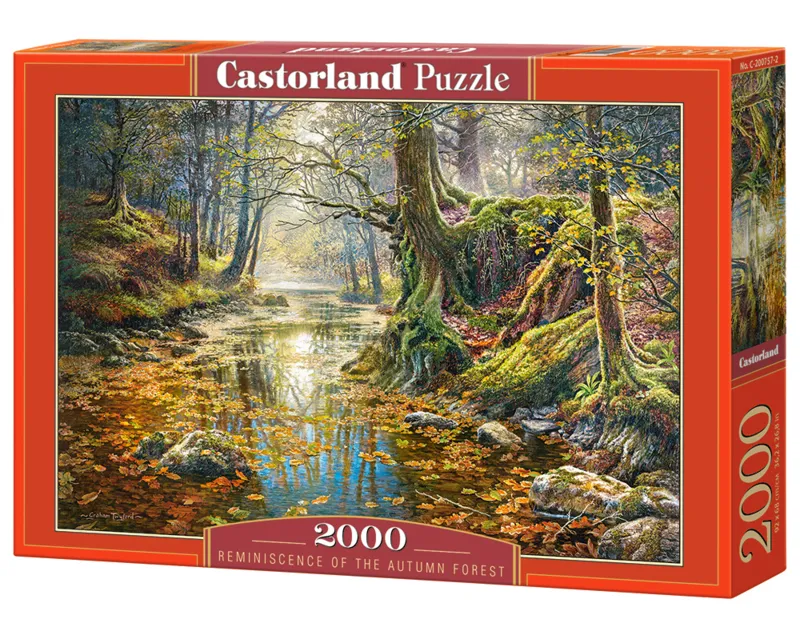 Erinnerung an den Herbstwald