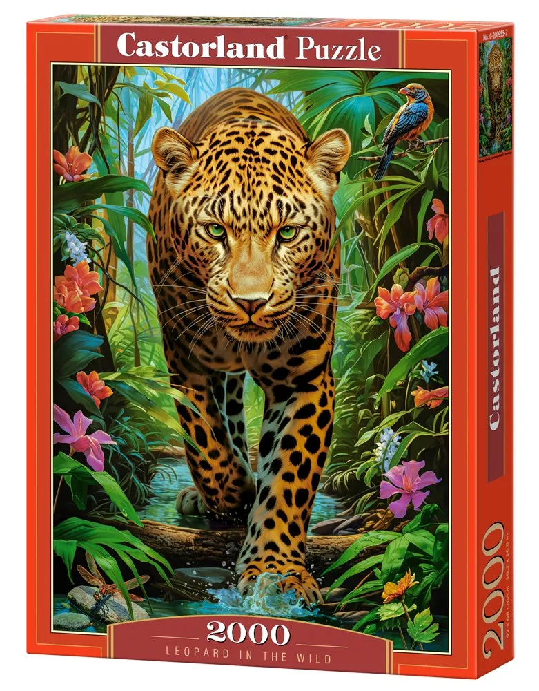 Leopard in der Wildnis