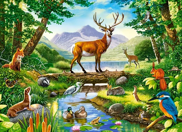 Woodland Harmony