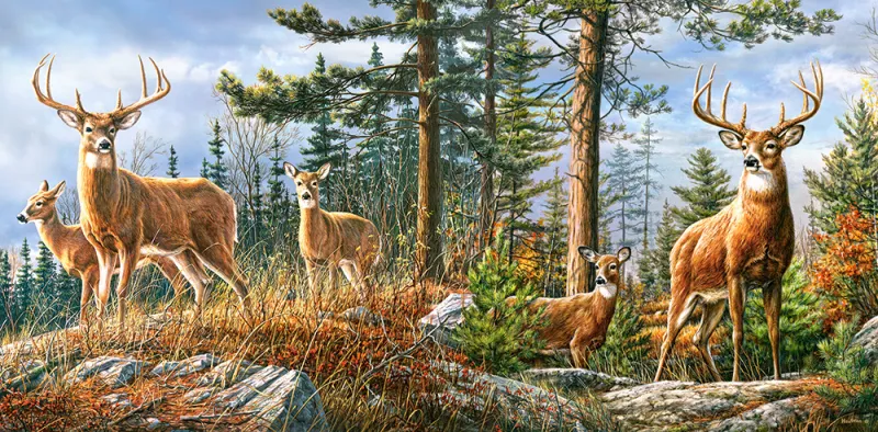 Königliche Familie der Hirsche