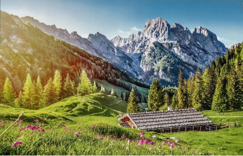 Summer in the Alps