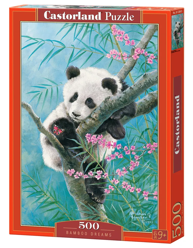 Bamboo Dreams