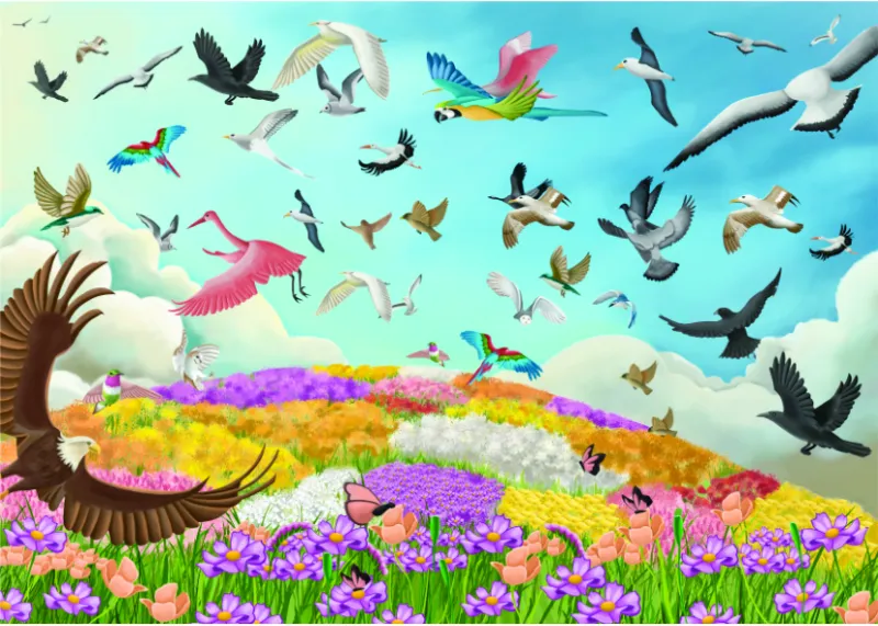 Amazing Birds
