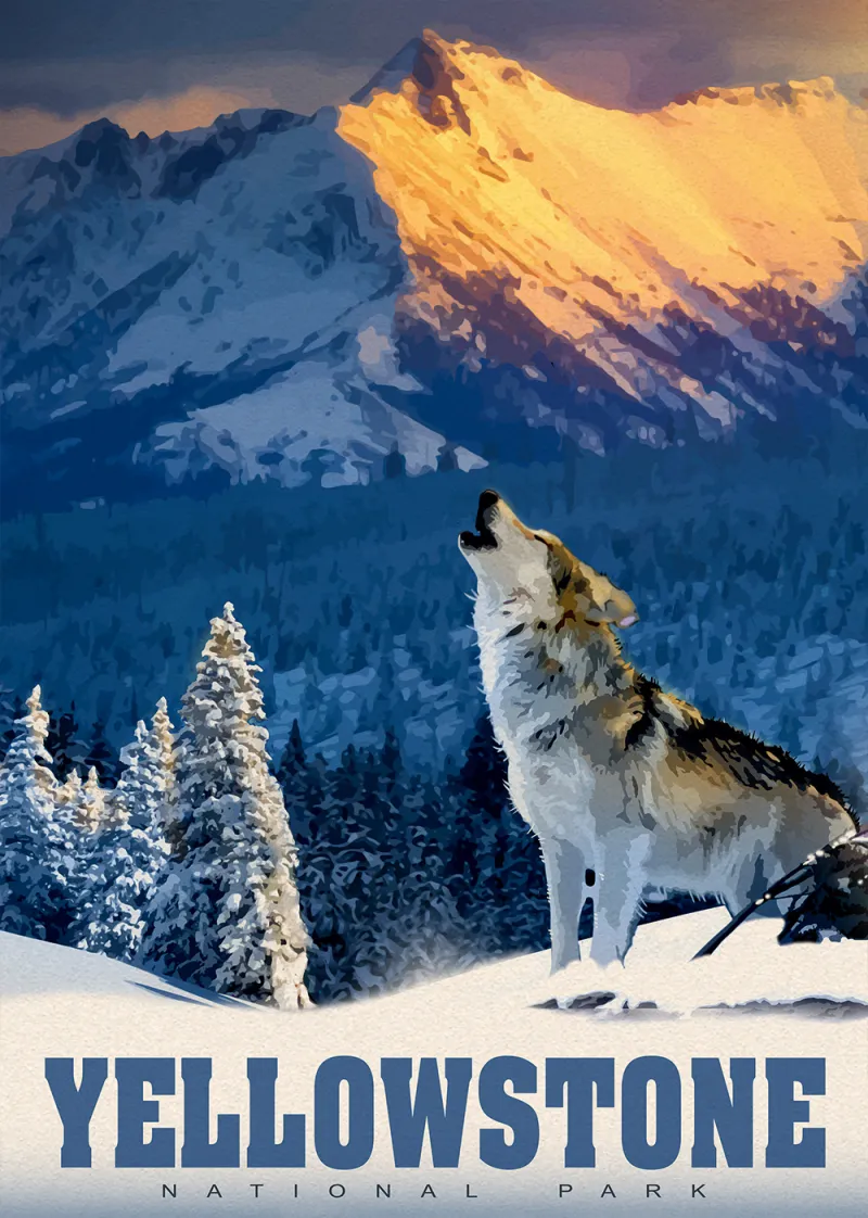Yellowstone-Wolf