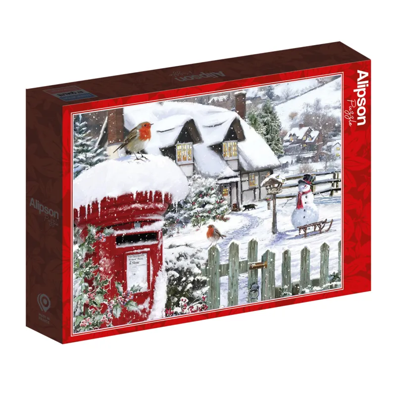 Rotkehlchen im Schnee