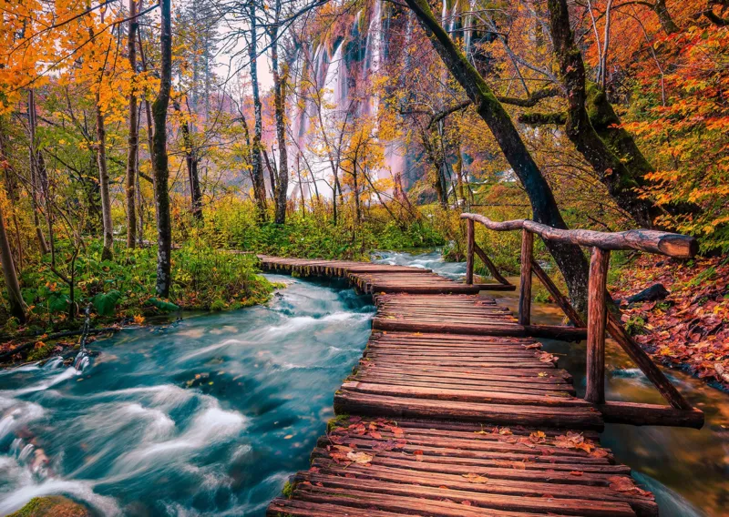 Forest Stream in Plitvice, Croatia