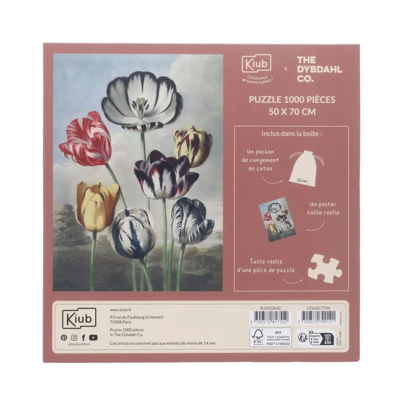 Tulpen