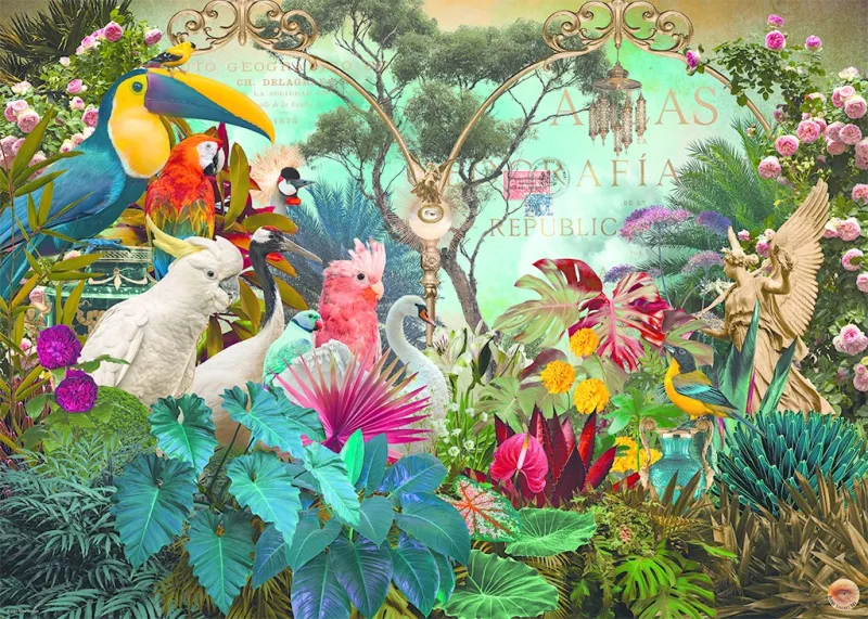 Birddiversity