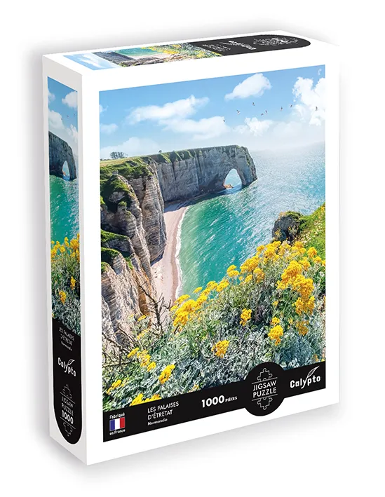 Landschaft - Die Klippen Von Étretat - Normandie