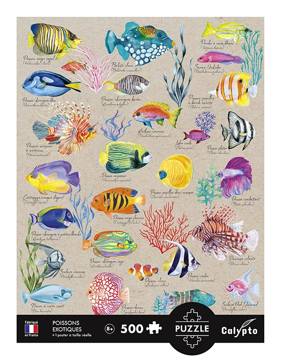 Exotischer Fisch