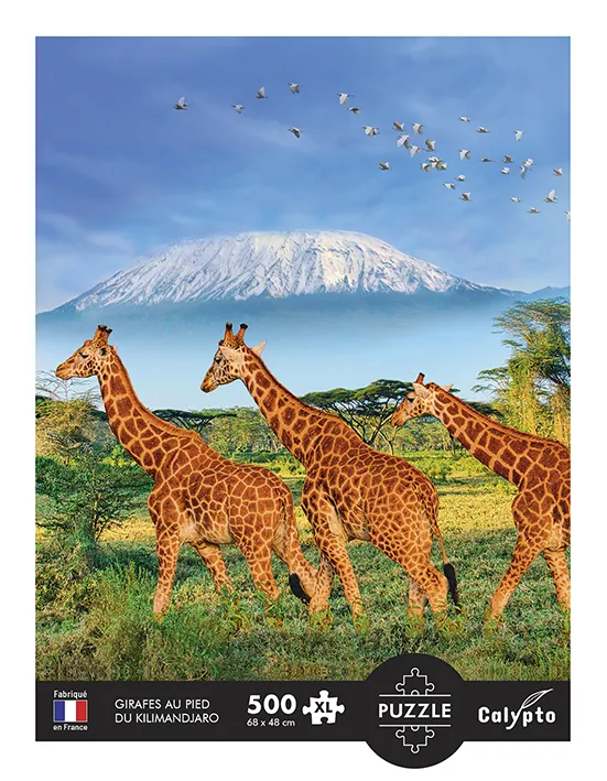 XXL Teile - Giraffen
