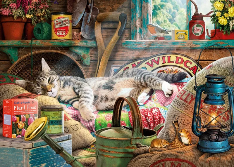 Snoozing in The Shed