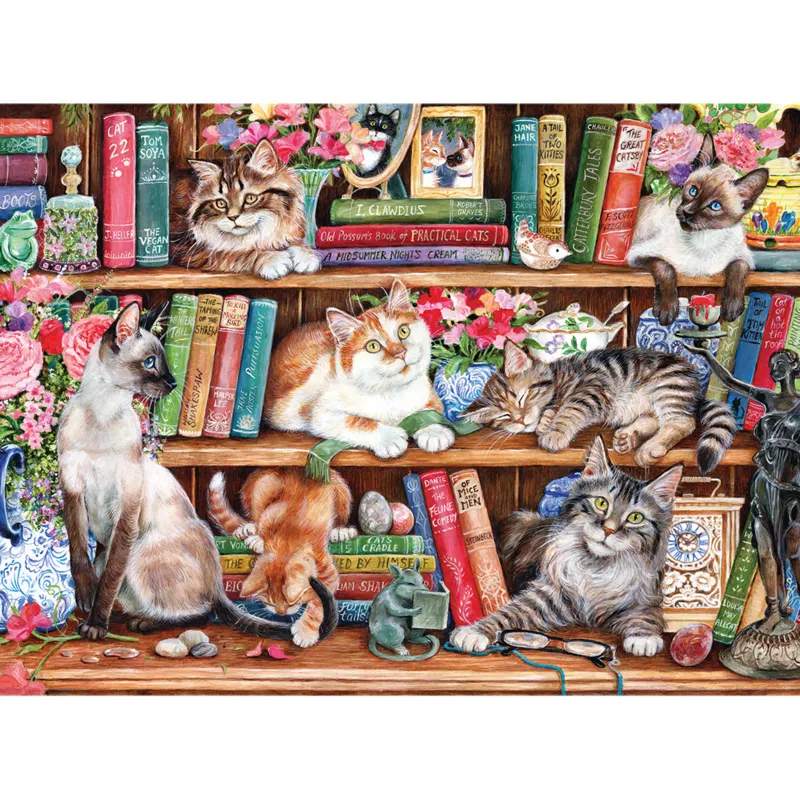 Der Kater zurück im Buch